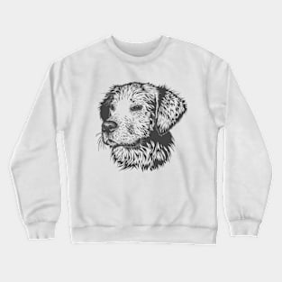 Drawn dog Crewneck Sweatshirt